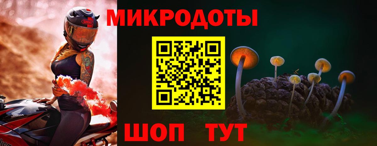 Галлюциногенные грибы Psilocybine cubensis  Псилоцибиновые грибы прущие грибы  Вход с VPN  Алатырь 